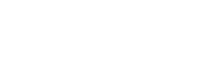 CCG Consulting Group